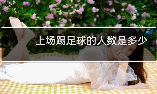 上场踢足球的人数是多少图片