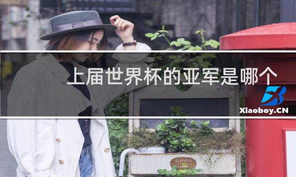 上届世界杯的亚军是哪个国图片