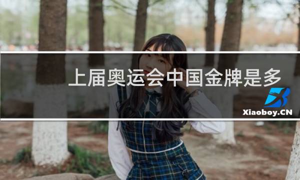 上届奥运会中国金牌是多少图片