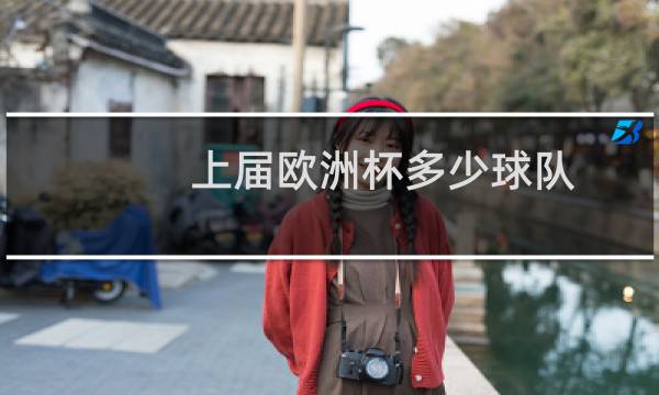 上届欧洲杯多少球队图片
