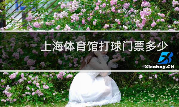 上海体育馆打球门票多少图片
