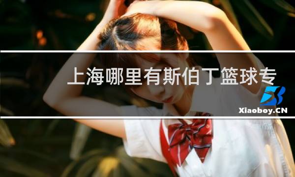 上海哪里有斯伯丁篮球专卖店图片
