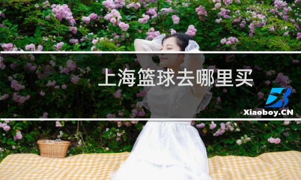 上海篮球去哪里买图片