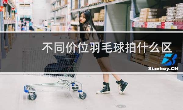 不同价位羽毛球拍什么区别图片