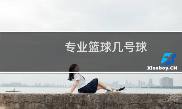 专业篮球几号球图片