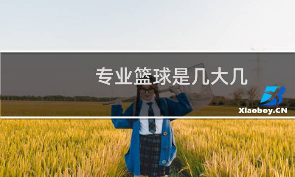 专业篮球是几大几图片