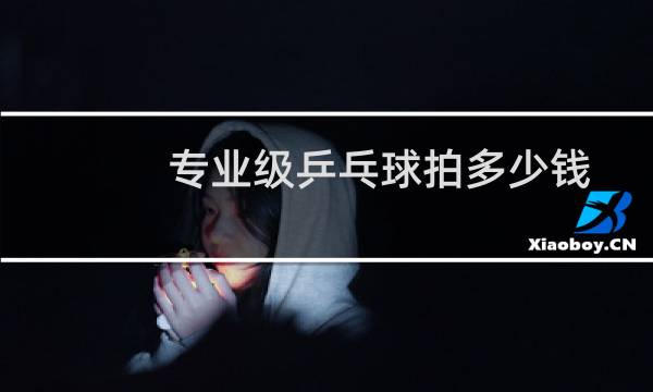 专业级乒乓球拍多少钱图片