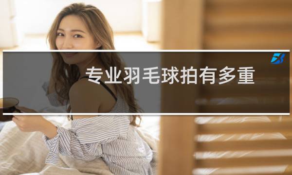 专业羽毛球拍有多重图片