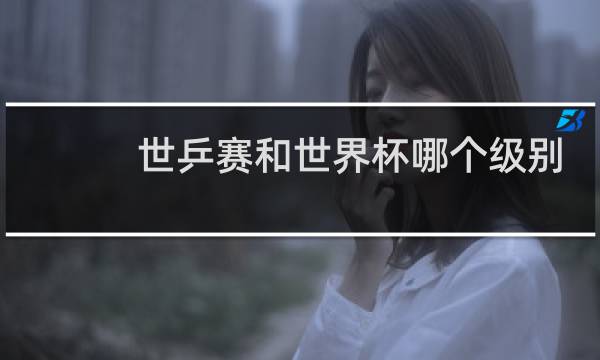 世乒赛和世界杯哪个级别高图片