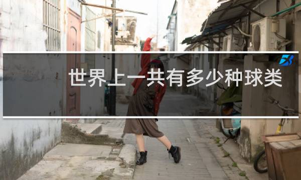 世界上一共有多少种球类运动图片