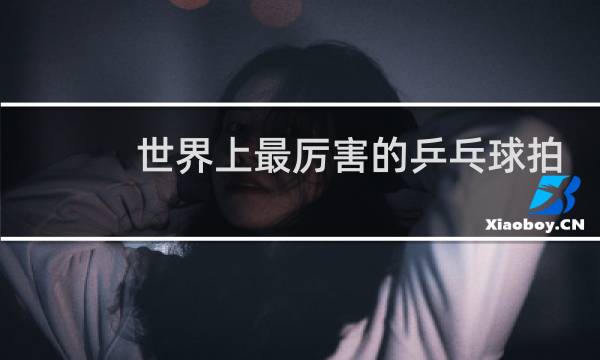 世界上最厉害的乒乓球拍是什么图片