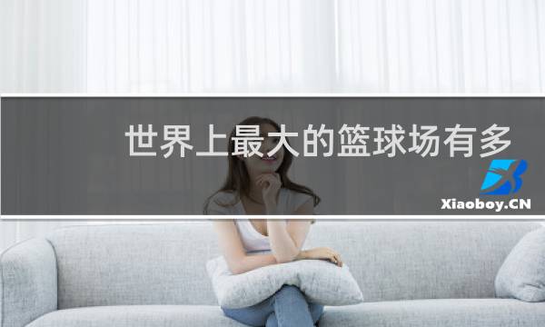 世界上最大的篮球场有多少平方米图片