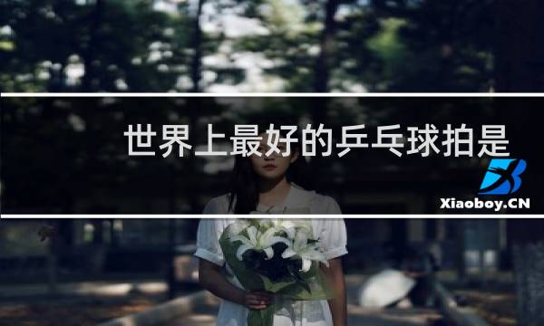 世界上最好的乒乓球拍是什么样子图片