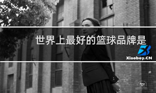 世界上最好的篮球品牌是什么图片