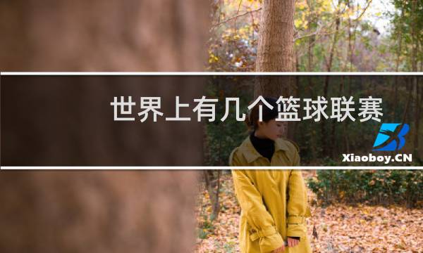 世界上有几个篮球联赛图片