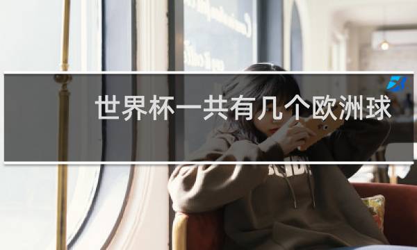 世界杯一共有几个欧洲球队图片