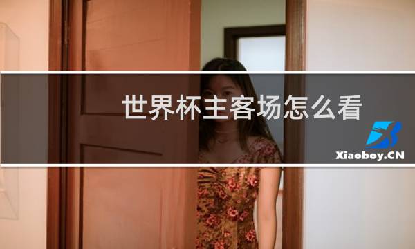 世界杯主客场怎么看图片