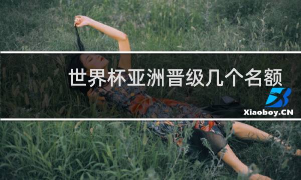 世界杯亚洲晋级几个名额图片