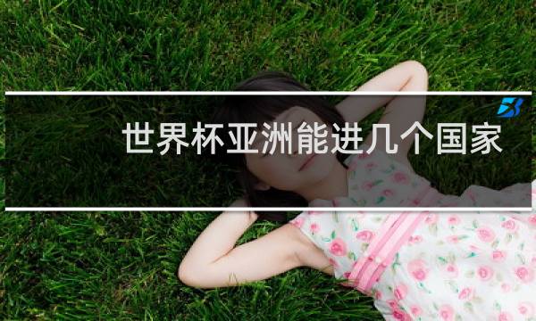 世界杯亚洲能进几个国家图片