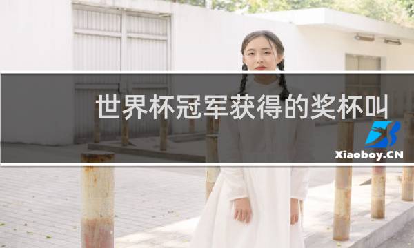 世界杯冠军获得的奖杯叫什么图片