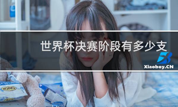 世界杯决赛阶段有多少支队伍图片