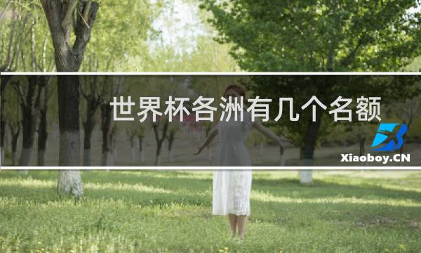世界杯各洲有几个名额图片