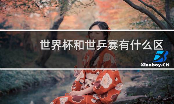 世界杯和世乒赛有什么区别图片
