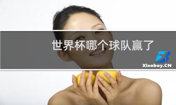 世界杯哪个球队赢了图片