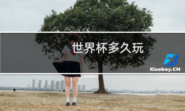 世界杯多久玩图片
