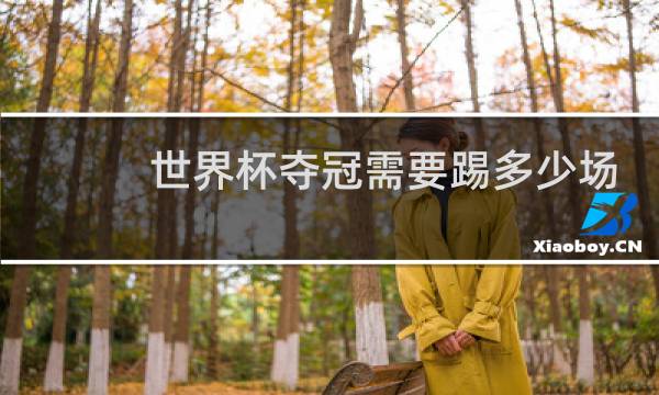 世界杯夺冠需要踢多少场图片