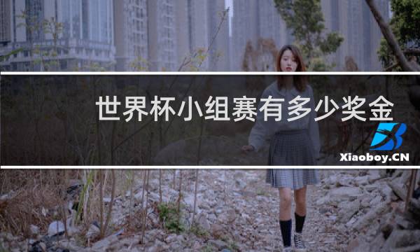 世界杯小组赛有多少奖金图片