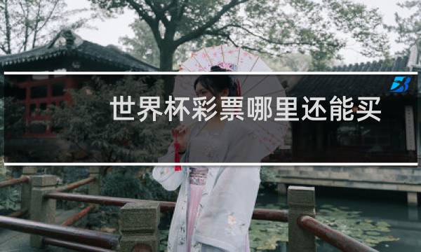 世界杯彩票哪里还能买图片