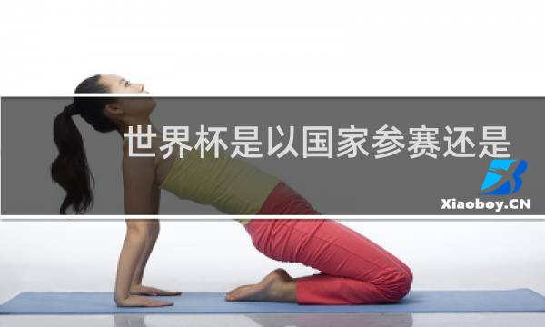 世界杯是以国家参赛还是足协图片