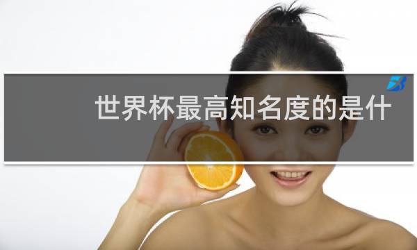 世界杯最高知名度的是什么比赛图片