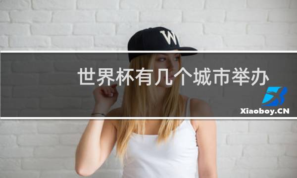 世界杯有几个城市举办图片