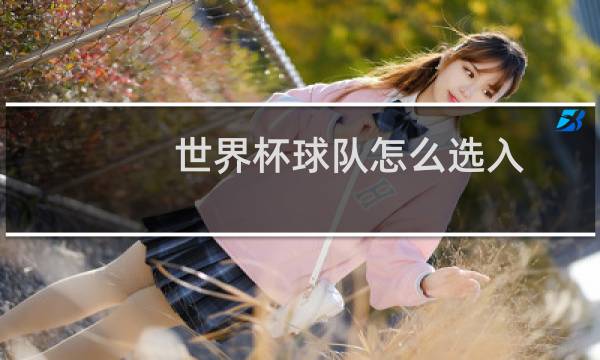世界杯球队怎么选入图片