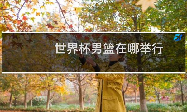 世界杯男篮在哪举行图片