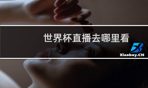 世界杯直播去哪里看图片