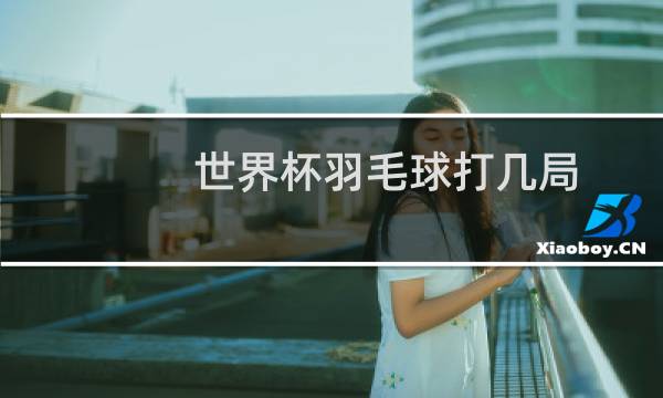 世界杯羽毛球打几局图片