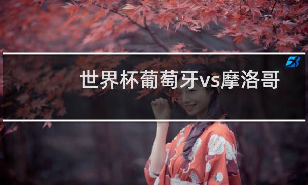 世界杯葡萄牙vs摩洛哥谁赢图片