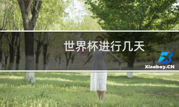 世界杯进行几天图片