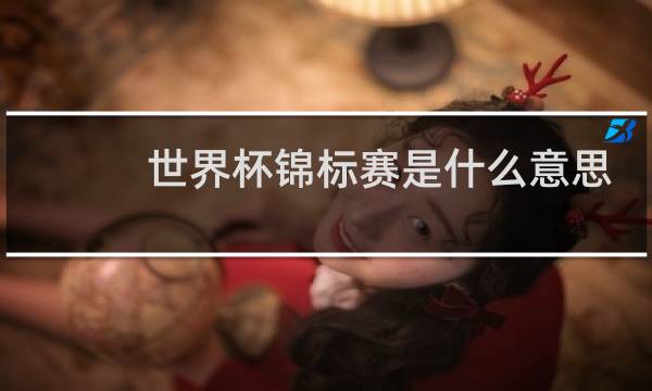 世界杯锦标赛是什么意思图片