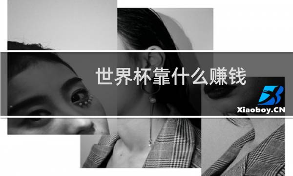 世界杯靠什么赚钱图片