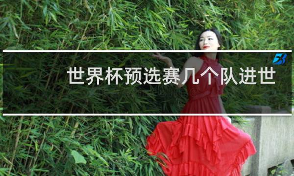 世界杯预选赛几个队进世界杯图片