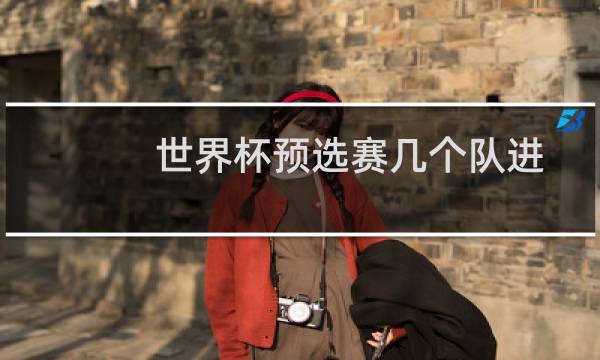 世界杯预选赛几个队进图片