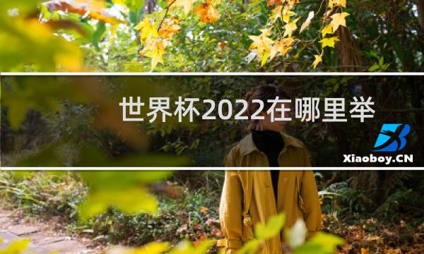 世界杯2022在哪里举办图片