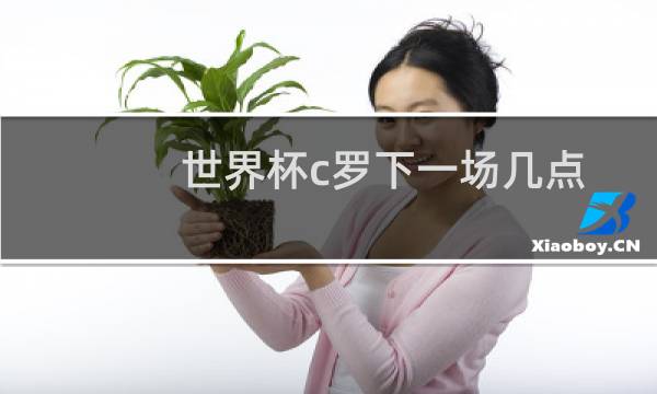 世界杯c罗下一场几点图片