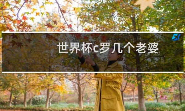 世界杯c罗几个老婆图片