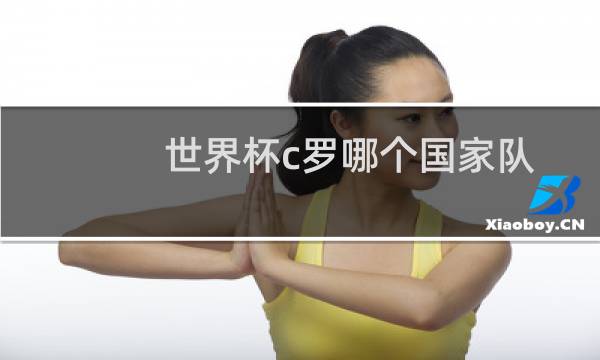 世界杯c罗哪个国家队图片
