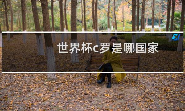 世界杯c罗是哪国家图片